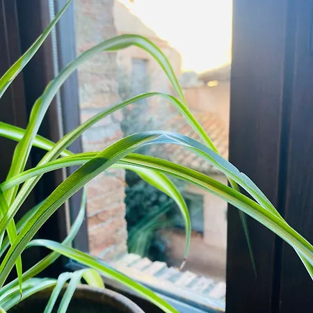 מלון Caseron De La Fuente