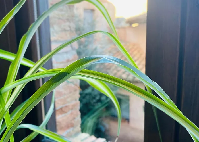 Hotel Caserón De La Fuente