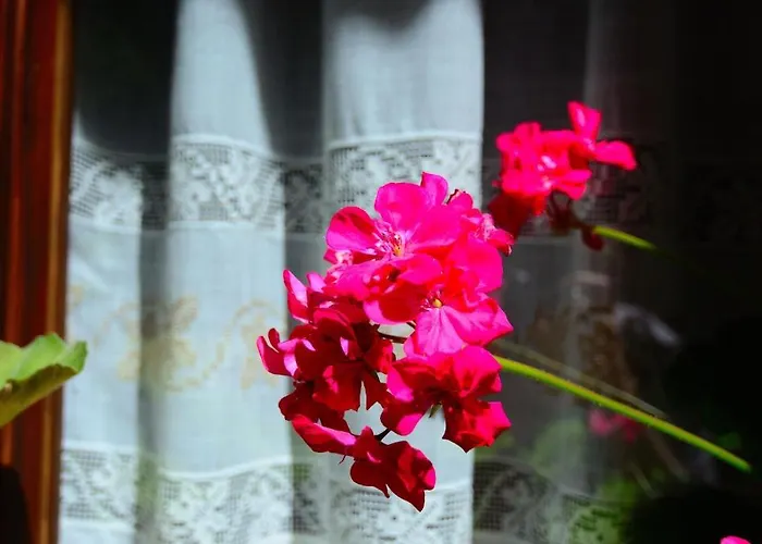 Caserón De La Fuente 3*